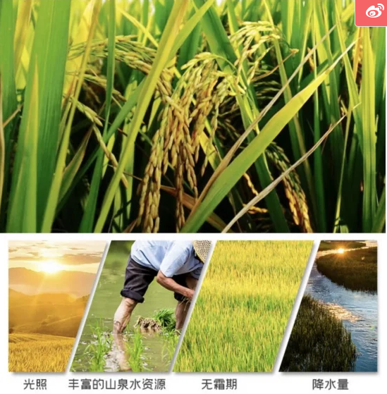 QQ截图20220729155542.png